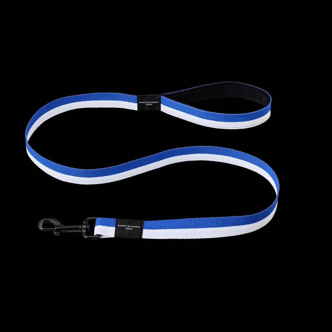 Dog Leashes
